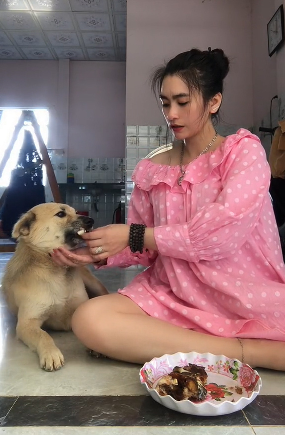 Vụ Củ Tỏi - chú chó nổi tiếng Tiktok bị mất tích: Đã có cập nhật mới - Hình 1