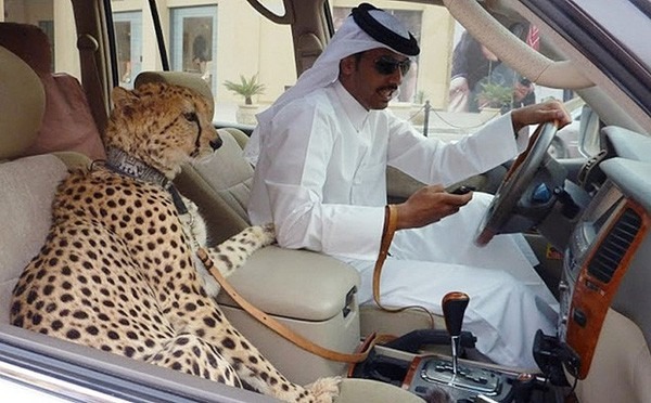 Dubai - Địa điểm đang hot nhất lúc này: Giới siêu giàu rủng rỉnh tiền sống xa hoa, đi toilet cũng phải bằng bồn cầu vàng - Hình 10