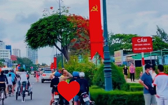 Cây hoa phượng đang hot nhất Vũng Tàu khiến dân mạng phải gật đầu lia lịa: Đúng là có 1-0-2 - Hình 1