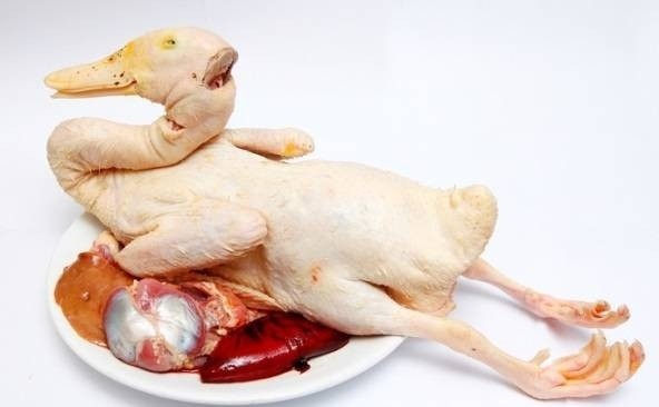 5 bí quyết làm món vịt mềm và không có mùi hôi - Hình 1