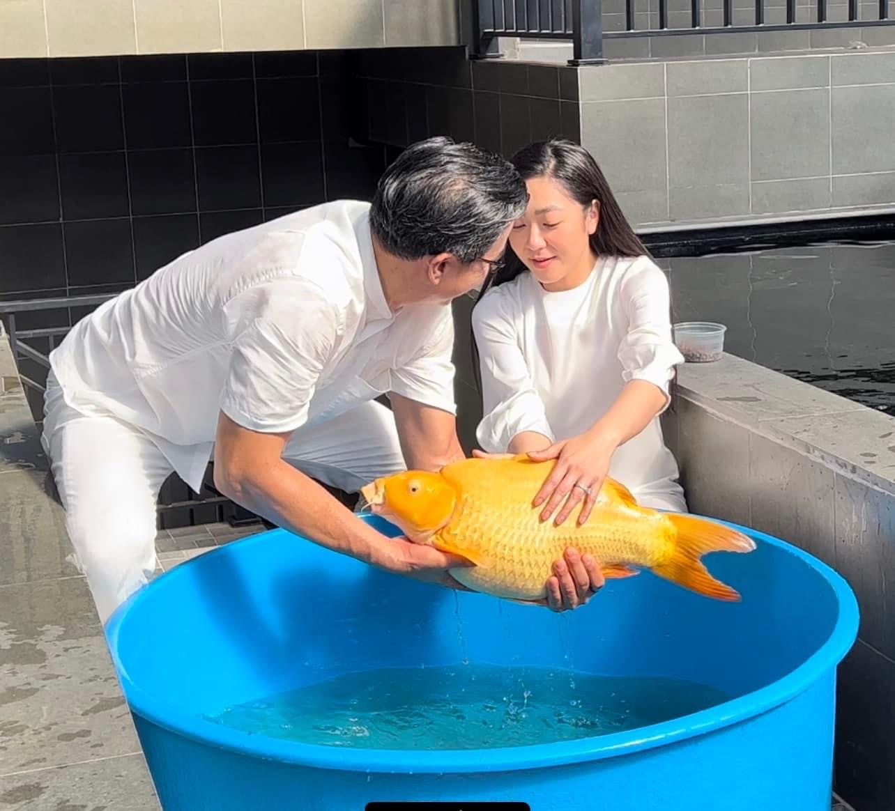 'Vua cá Koi' Thắng Ngô - Chồng mới cưới của ca sĩ Hà Thanh Xuân và những góc khuất ít ai biết - Hình 9