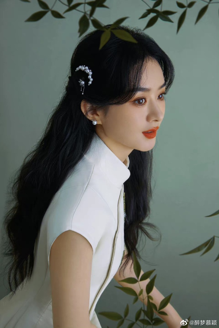 Triệu Lệ Dĩnh - Trần Vỹ Đình tái hợp, visual ra sao mà fan đứng ngồi không yên? - Hình 6