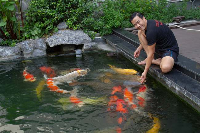Vua cá Koi nhiều lần khoe vợ cũ, khẳng định sợ cưới trước khi kết hôn cùng Hà Thanh Xuân - Hình 11