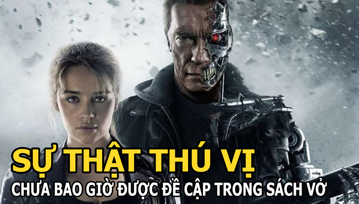 Những sự thật thú vị - Ong có thể bay cao hơn cả đỉnh Everest? - Hình 5