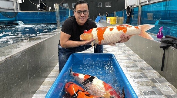 Vua cá Koi - Hà Thanh Xuân hiện tại sống sao sau bão 'có mới nới cũ'? - Hình 7