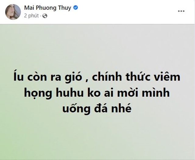 Đám cưới Minh Hằng khiến loạt sao suy kiệt sức lực: Mai Phương Thúy, Trấn Thành thảm nhất? - Hình 1
