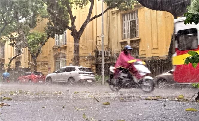 Các khu vực đều có mưa và dông, có nơi mưa to đến rất to - Hình 1