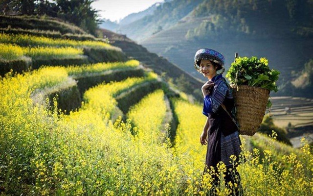 Kinh nghiệm du lịch Tây Bắc mùa thu, khám phá mùa vàng vùng núi cao - Hình 1