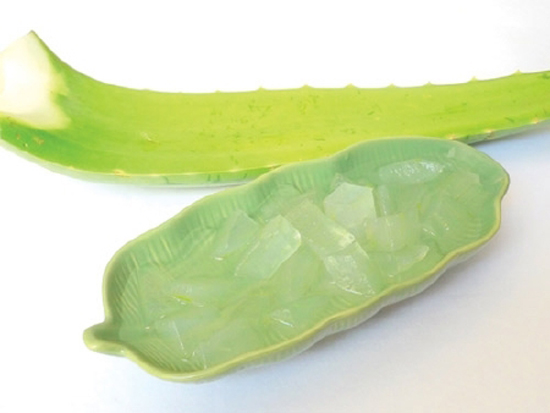 Món sữa chua nha đam ngon tuyệt - Hình 2