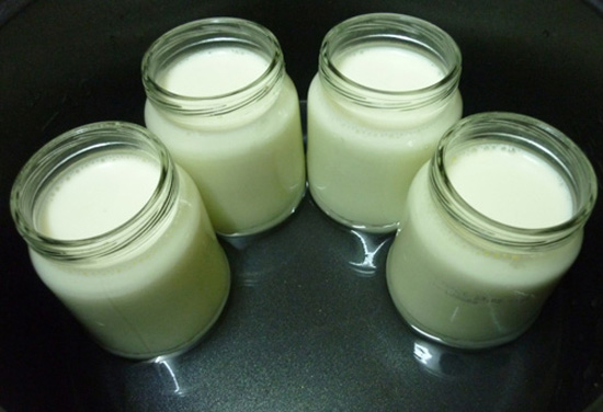 Món sữa chua từ sữa đặc - Hình 4