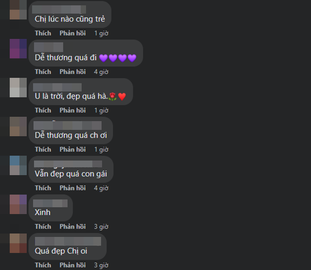 Nữ ca sĩ bị đồn ngoại tình với Hoài Linh lộ diện sau thời gian dài, nhan sắc tuổi U50 gây sốt - Hình 6