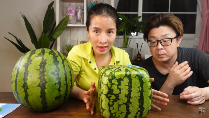 Bà Nhân Vlog gây sốc vì chi 3 triệu chỉ để mua 1 quả dưa hấu về review - Hình 2