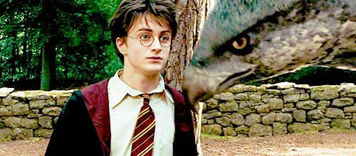 Vai Harry Potter suýt về tay mỹ nam này: Hoàn hảo từ nhan sắc đến diễn xuất, bị loại vì 1 điều luật khắt khe - Hình 2