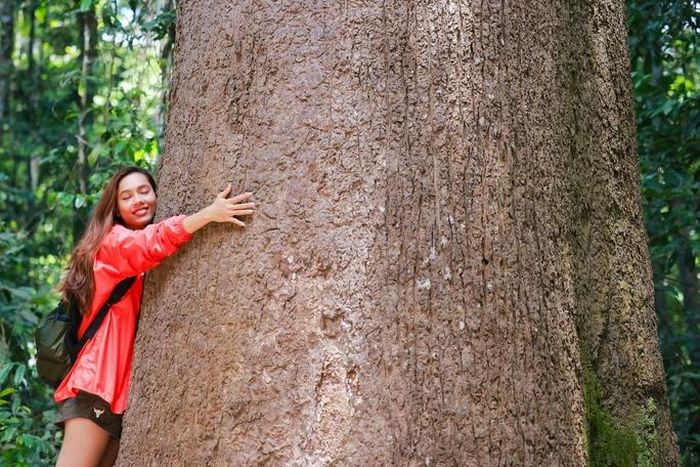 5 điểm đến níu chân du khách ở Tây Ninh - Hình 9