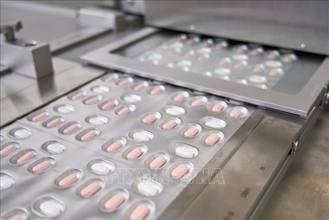 FDA Mỹ cho phép dược sĩ kê đơn thuốc điều trị COVID-19 của Pfizer - Hình 1