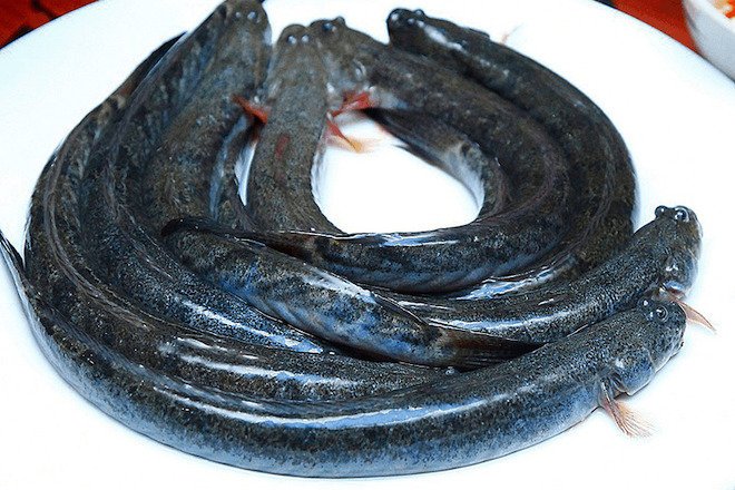 Loại cá xưa ít người ăn giờ thành đặc sản nổi tiếng một vùng càng ăn càng  mê 150000 đồngkg  Đời sống  Giải trí  TriThucCuocSongvn