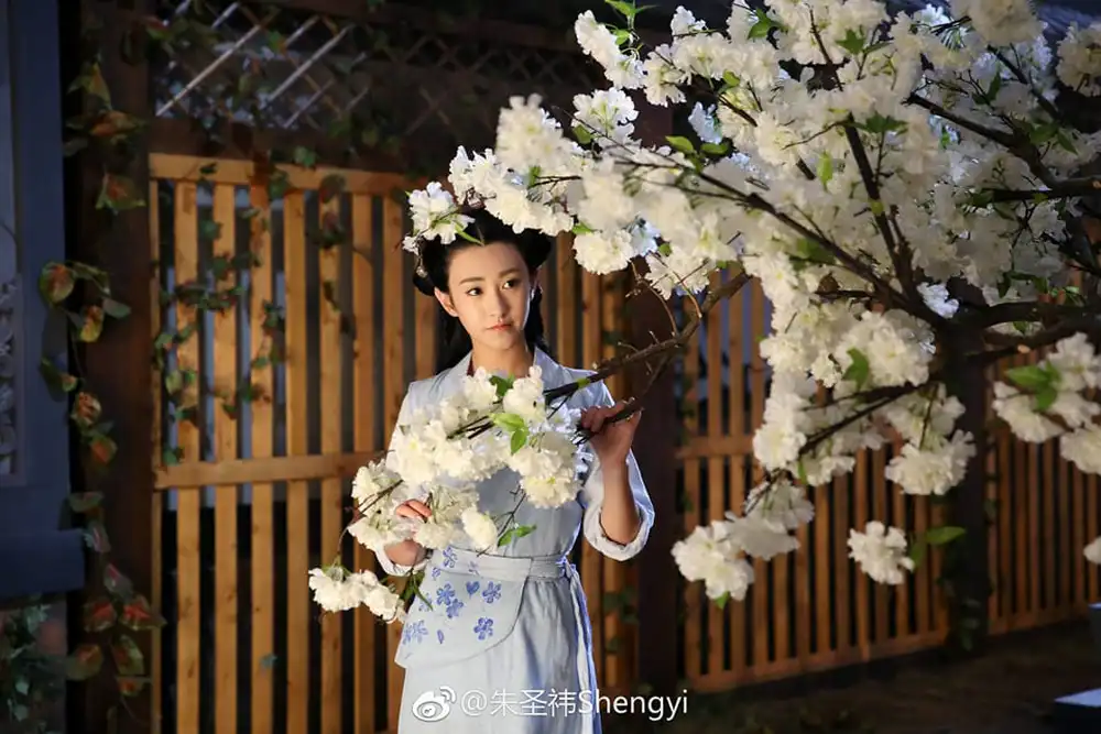 Chu Thánh Y - Em gái Triệu Lệ Dĩnh: Đáng ghét từ phim ra đời, bị tỷ phú tố đi khách, làm tú bà - Hình 6