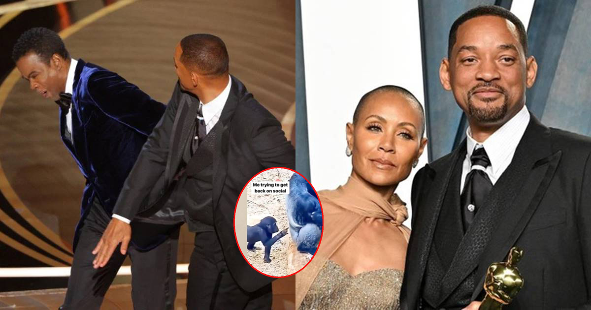 Will Smith bất ngờ làm điều này sau khi xin lỗi Chris Rock với cái tát thẳng mặt tại Oscar - Hình 7
