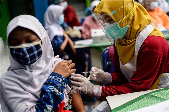 Indonesia sắp đưa vào sử dụng hai vaccine nội địa ngừa COVID-19 - Hình 1