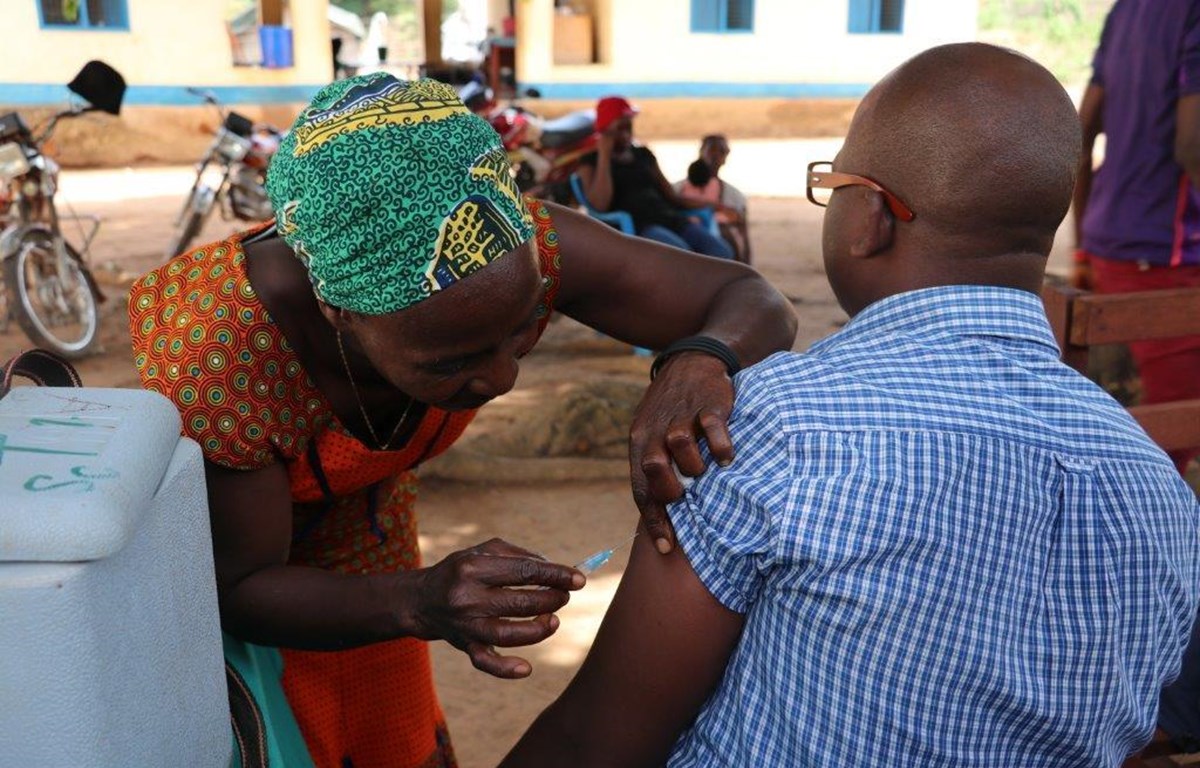 Cộng hòa Congo triển khai tiêm chủng ngừa sốt vàng da cho 4 triệu người - Hình 1