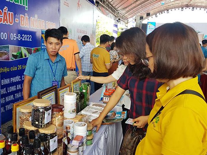 Đà Nẵng tổ chức đào tạo thương mại điện tử cho doanh nghiệp trẻ - Hình 1