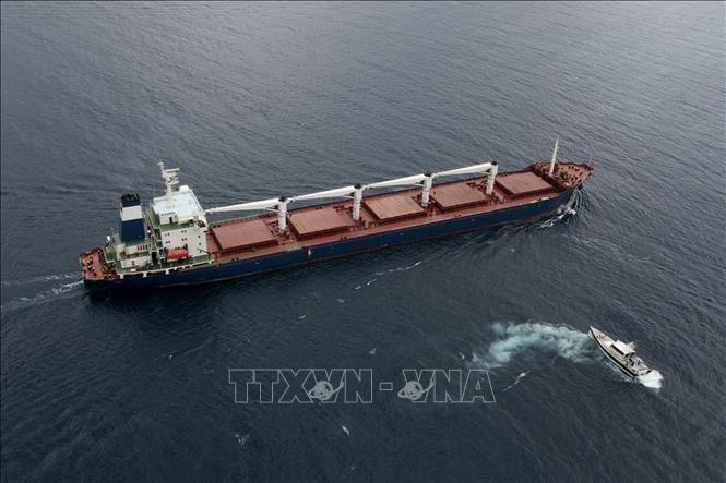 Tàu hàng xuất khẩu ngũ cốc đầu tiên của Ukraine hoãn cập cảng Liban - Hình 1