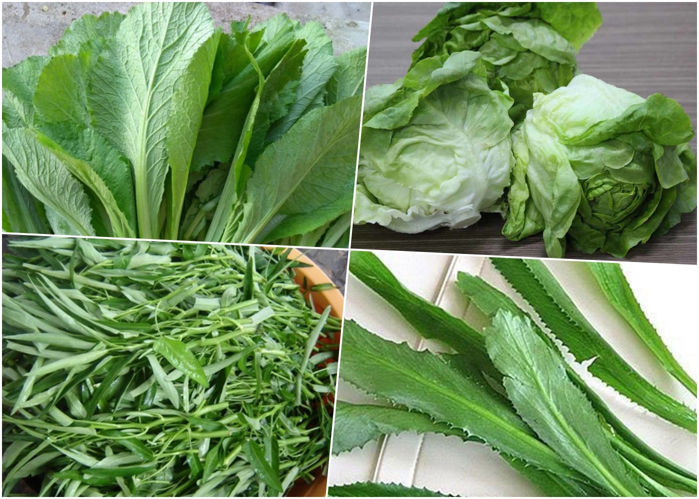 4 cách làm vịt nấu chao ngon, thơm nức, béo ngậy không bị hôi - Hình 24