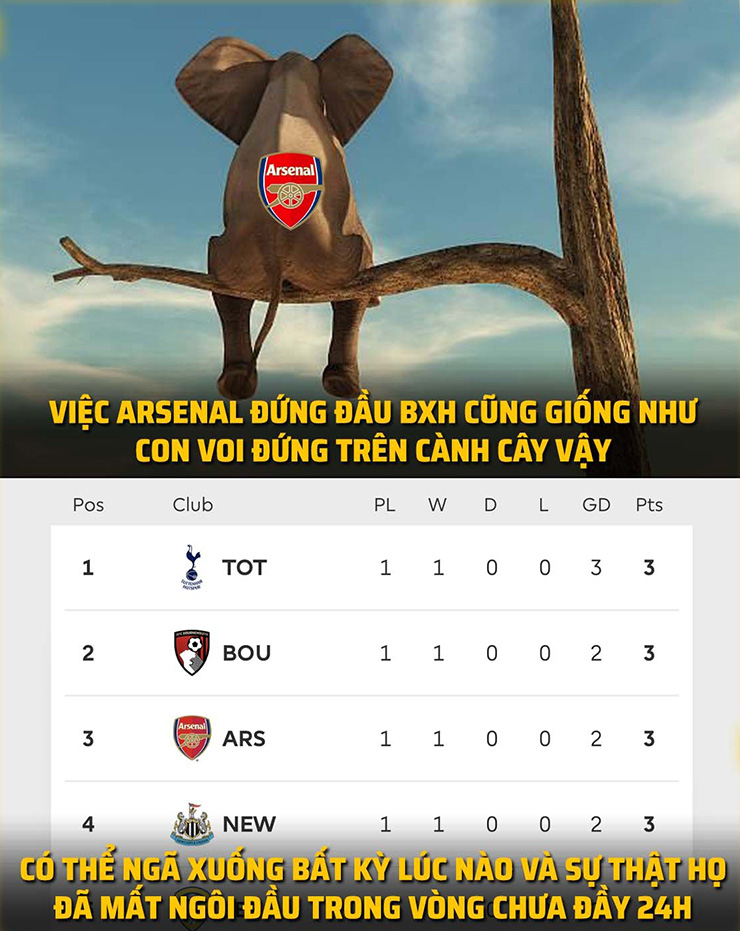 Ảnh chế: Tottenham lật ghế Arsenal để chiếm ngôi đầu Ngoại hạng Anh - Hình 2