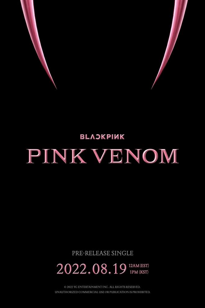 BLACKPINK chính thức tung tin mật về Pink Venom vào đúng ngày kỉ niệm 6 năm debut - Hình 1