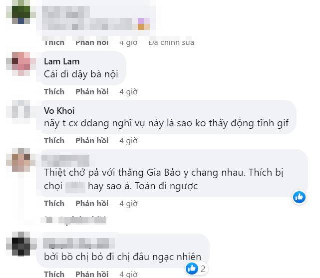 Cát Phượng đăng đàn chúc mừng Hồng Đăng - Hồ Hoài Anh được thả về nước, dân mạng lập tức mỉa mai - Hình 5
