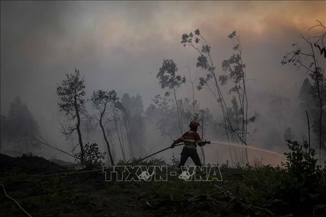 Châu Âu căng thẳng chống cháy rừng, 70 thành phố ở Bồ Đào Nha đối mặt rủi ro lớn - Hình 1