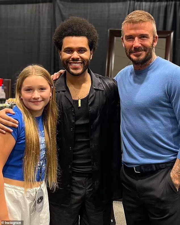 David Beckham đưa con gái Harper tới đêm nhạc của The Weeknd - Hình 1