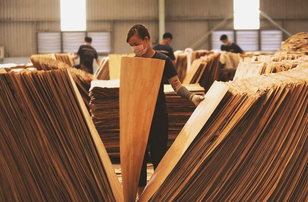 Phải ra tận Bộ xin xỏ giấy tờ, Cục Hải quan bị doanh nghiệp kiện ra tòa - Hình 1