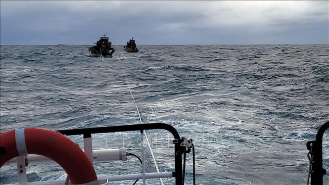 Quảng Bình: Đưa 8 thuyền viên trôi dạt trên biển vào bờ an toàn - Hình 1