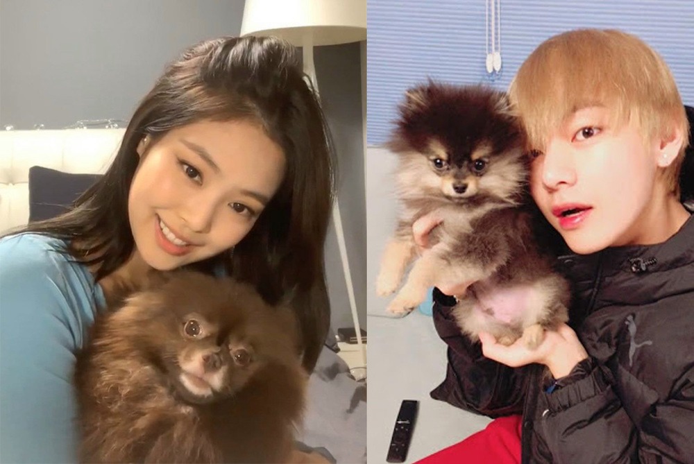 Người tung ảnh V (BTS) và Jennie (BLACKPINK) tuyên bố dừng lại, nghi vấn đã nhận tiền mua chuộc - Hình 7