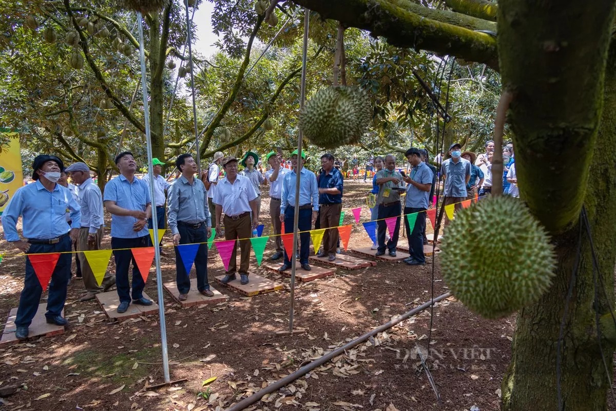 Một doanh nhân bất ngờ đột quỵ không qua khỏi khi đang phát biểu ở Hội nghị xúc tiến - Hình 6