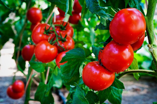 Cách nấu canh mây trứng thơm ngon đẹp mắt cho bữa cơm gia đình - Hình 6