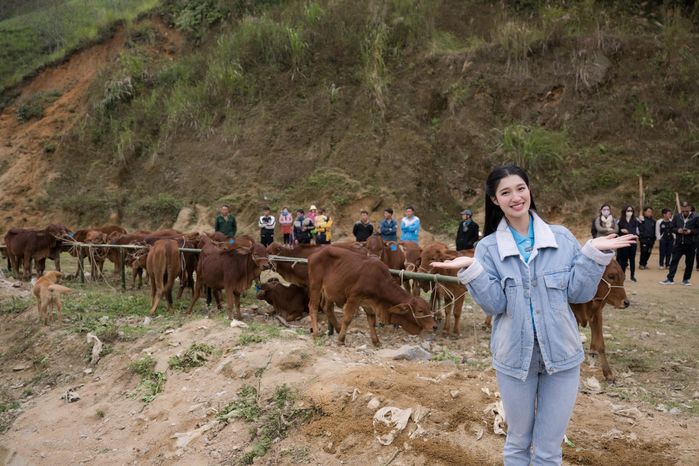 Á hậu Phương Nhi tặng 20 con bò cho bà con khó khăn ở Thanh Hóa - Hình 3