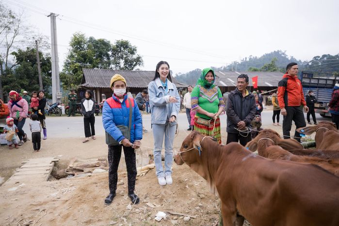 Á hậu Phương Nhi tặng 20 con bò cho bà con khó khăn ở Thanh Hóa - Hình 2