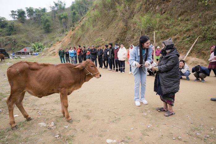 Á hậu Phương Nhi tặng 20 con bò cho bà con khó khăn ở Thanh Hóa - Hình 5
