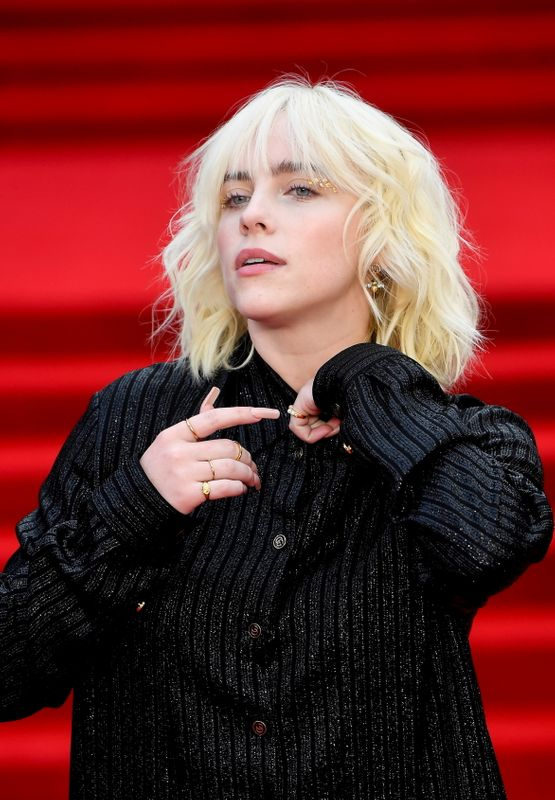 Billie Eilish hoảng loạn bị trộm đột nhập vào nhà, nghi phạm bị cảnh sát vây bắt? - Hình 7