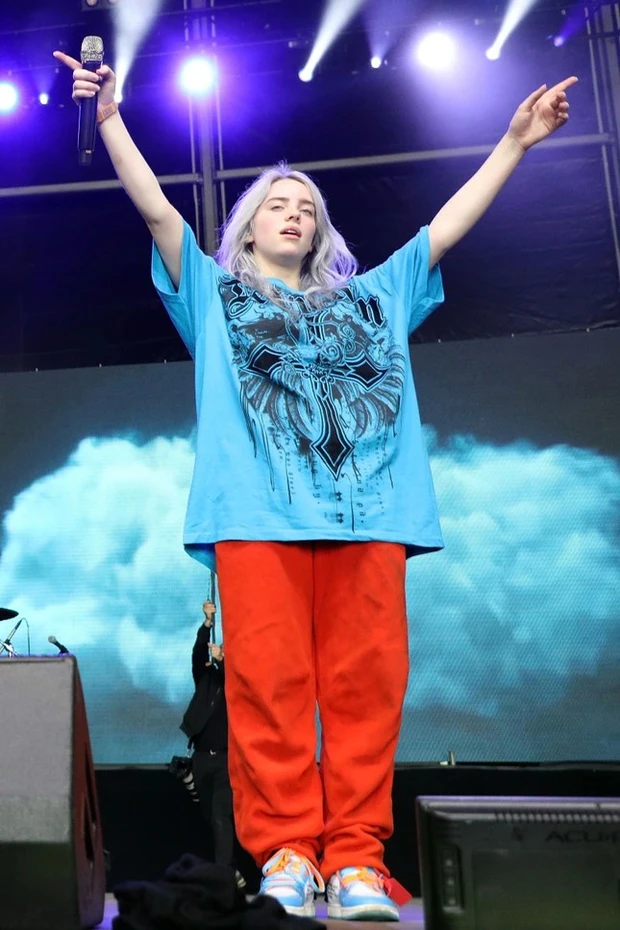 Billie Eilish hoảng loạn bị trộm đột nhập vào nhà, nghi phạm bị cảnh sát vây bắt? - Hình 5