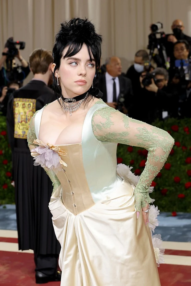 Billie Eilish hoảng loạn bị trộm đột nhập vào nhà, nghi phạm bị cảnh sát vây bắt? - Hình 6
