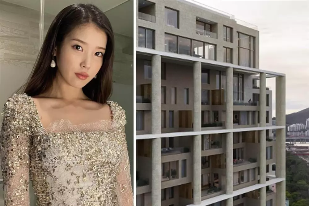 IU nhận tin vui lớn sau khi công khai hẹn hò Lee Jong Suk, hé lộ khối tài sản khủng khi về chung nhà - Hình 6