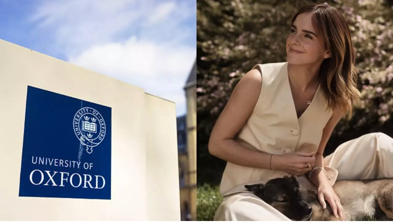 Emma Watson Harry Potter đi học trở lại ở tuổi 33, người hâm mộ khen nức nở vì điều này! - Hình 2