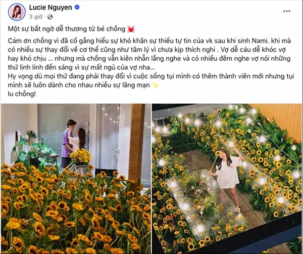 Tuấn Dương chi 400 triệu tạo bất ngờ cho Lucie Nguyễn, mang cả vườn hoa về nhà chỉ để vợ vui - Hình 3