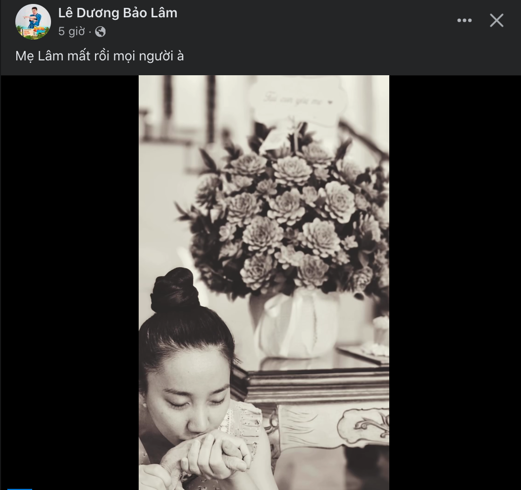 Vợ Lê Dương Bảo Lâm khóc ngất khi mẹ qua đời, sao Việt đau thắt ruột gan khi đọc tâm sự của nam DV - Hình 1