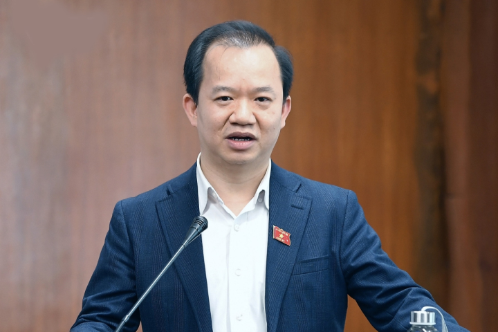 Đại biểu Quốc hội nói về tranh cãi lịch sử Đất Rừng Phương Nam, công khai ủng hộ phim? - Hình 2