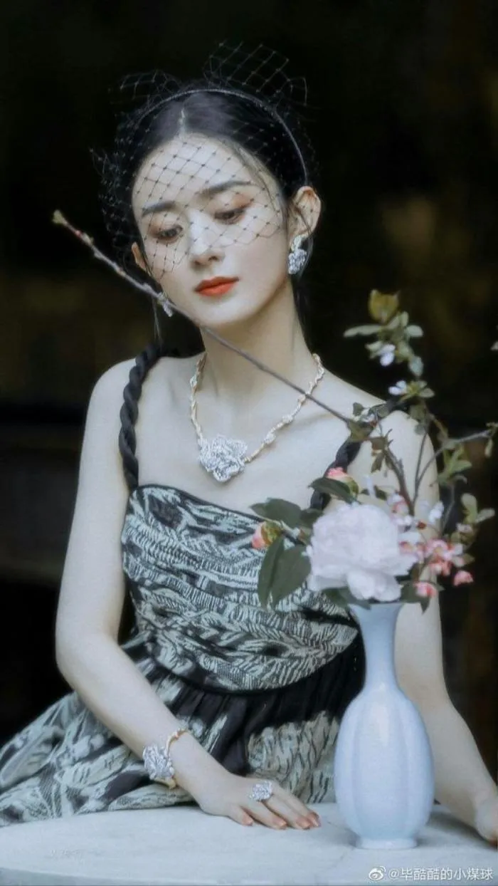 Triệu Lệ Dĩnh bị chồng cũ tố ngược chạy theo tình mới bỏ bê con nhỏ, chứng cứ rành rành khó cãi - Hình 8