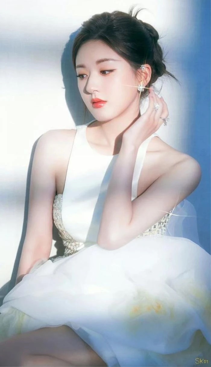Triệu Lệ Dĩnh từng khiến đồng nghiệp mất cả sự nghiệp, giờ bị Triệu Lộ Tư hạ bệ, nhận kết cục đắng - Hình 4